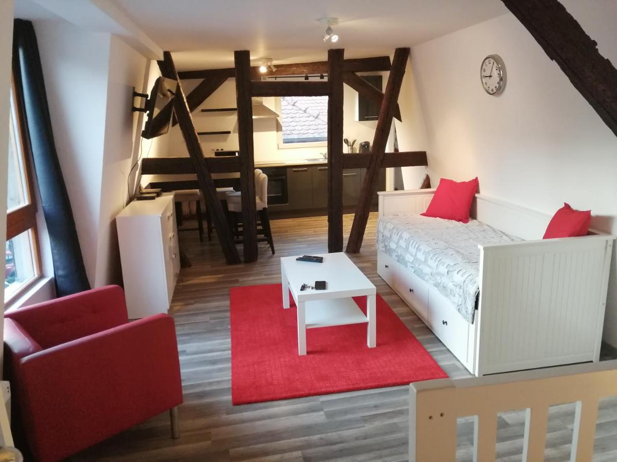 Magnifique Gite Plein Centre De Sélestat Εξωτερικό φωτογραφία